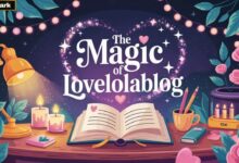 lovelolablog fun facts
