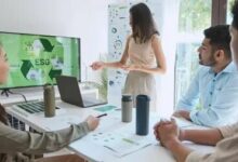 The Importance of Hiring an Environmental Lawyer for Your Business’s Sustainability Goals
